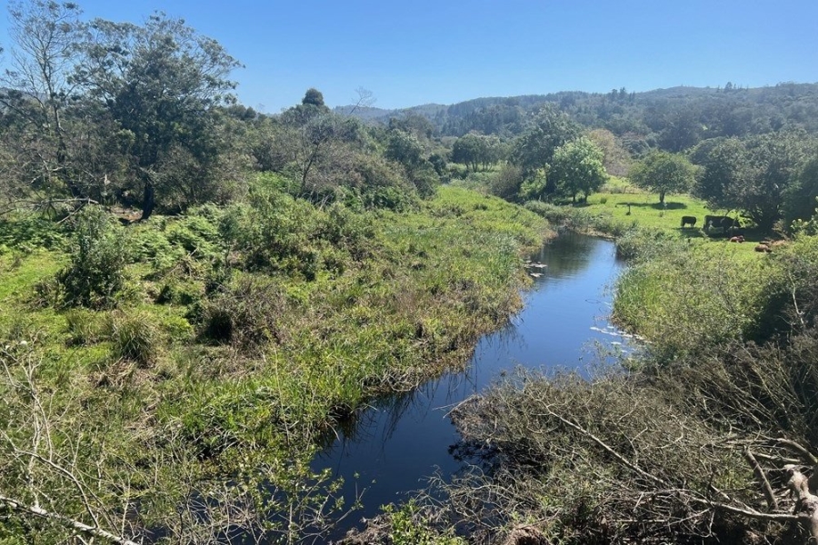 2 Bedroom Property for Sale in Wittedrift Western Cape